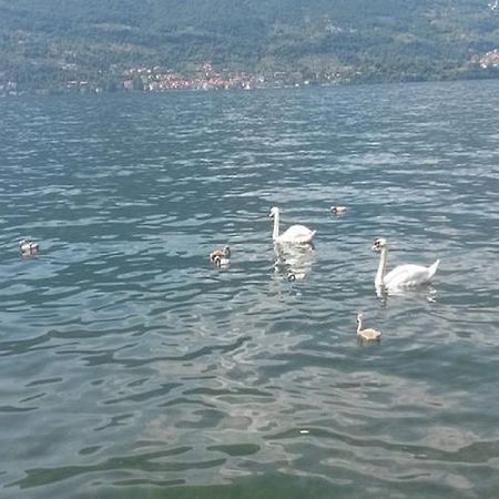 Appartamento Vista Lago - Betta Lezzeno Dış mekan fotoğraf