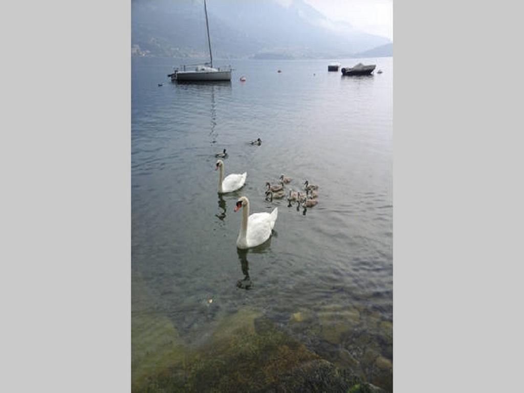 Appartamento Vista Lago - Betta Lezzeno Dış mekan fotoğraf